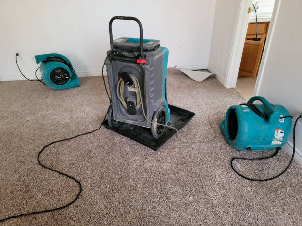Best 24-hour water damage restoration  in White Cloud, MI