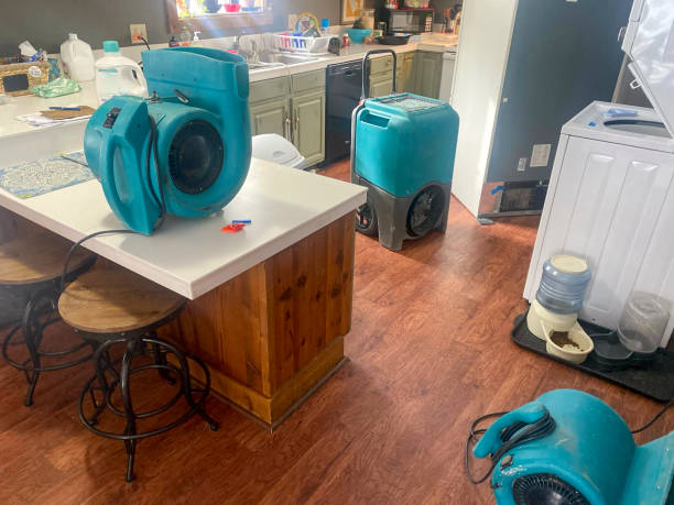 Best Residential water damage restoration  in White Cloud, MI