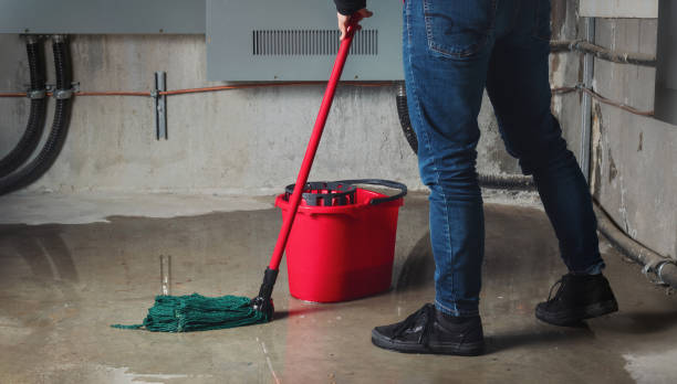 Best Flood damage cleanup  in White Cloud, MI