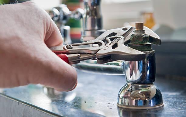Best Mold removal after water damage  in White Cloud, MI