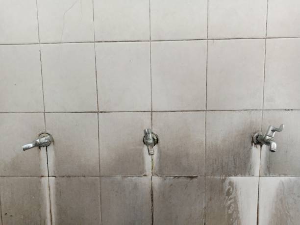 Best Flood damage cleanup  in White Cloud, MI