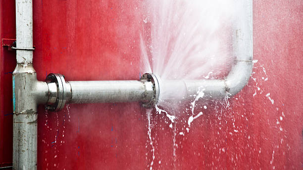 Best Carpet water damage restoration  in White Cloud, MI